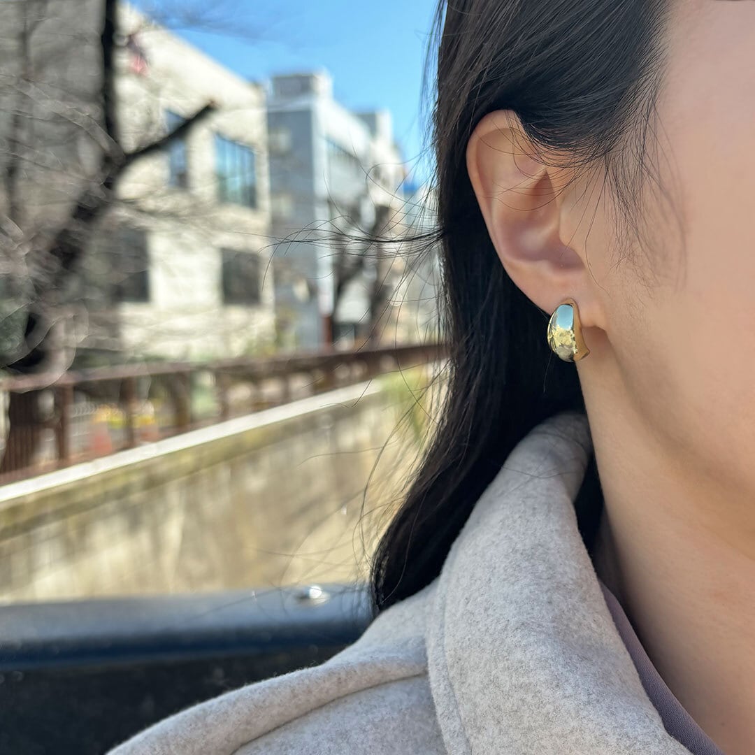 P21/grains ピアス